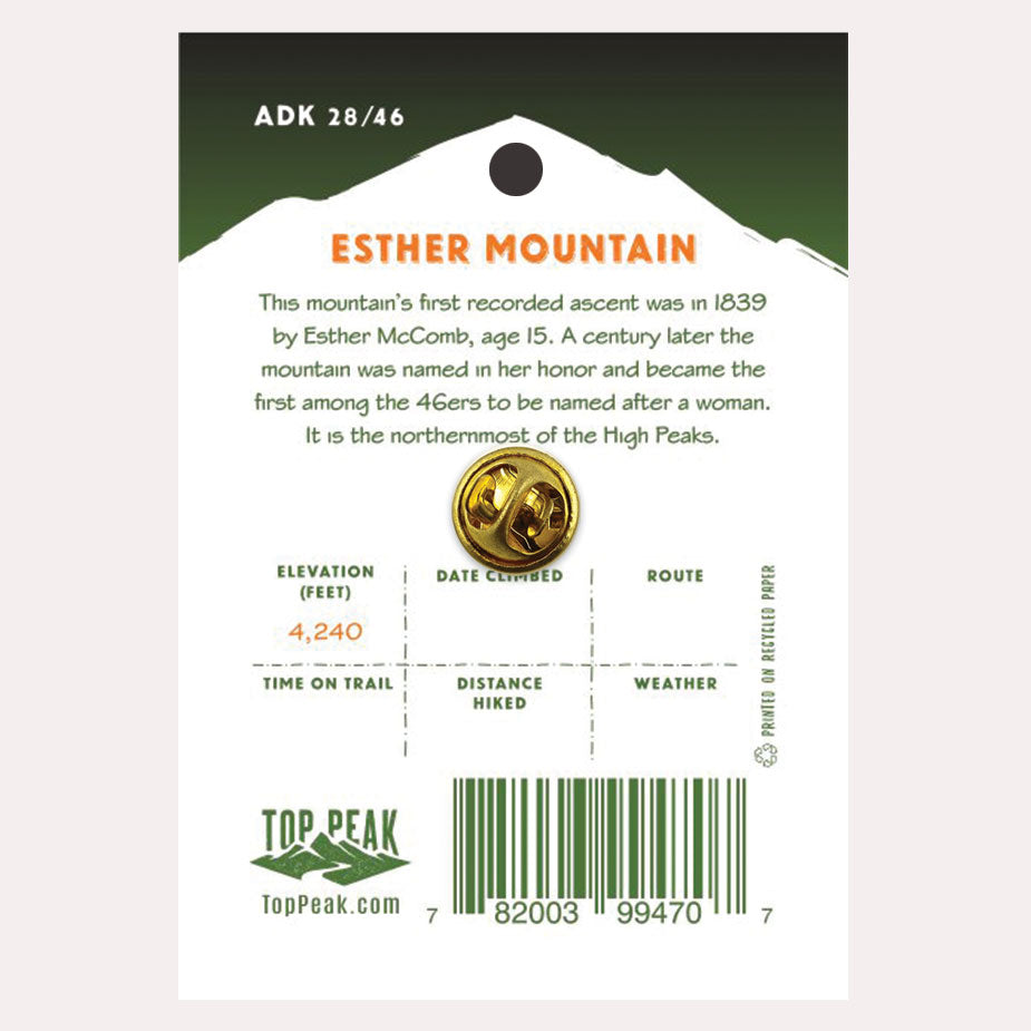 Esther Mountain Pin